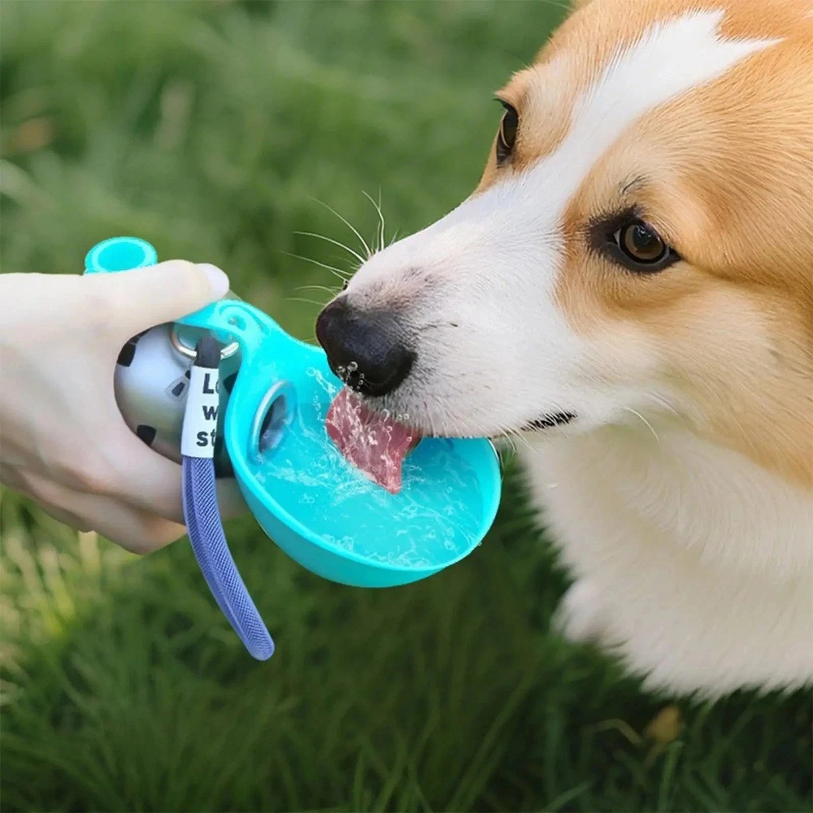 PocketPaw Bottle™